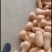 陕西城固胡氏精品奶油南瓜批发
