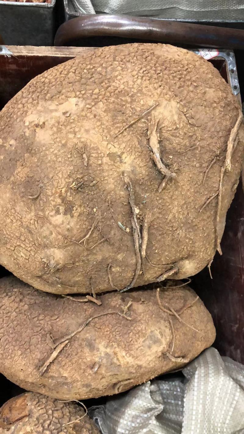 跑江湖地摊根子药砍砍药蛇连雪胆金龟莲鸡血藤