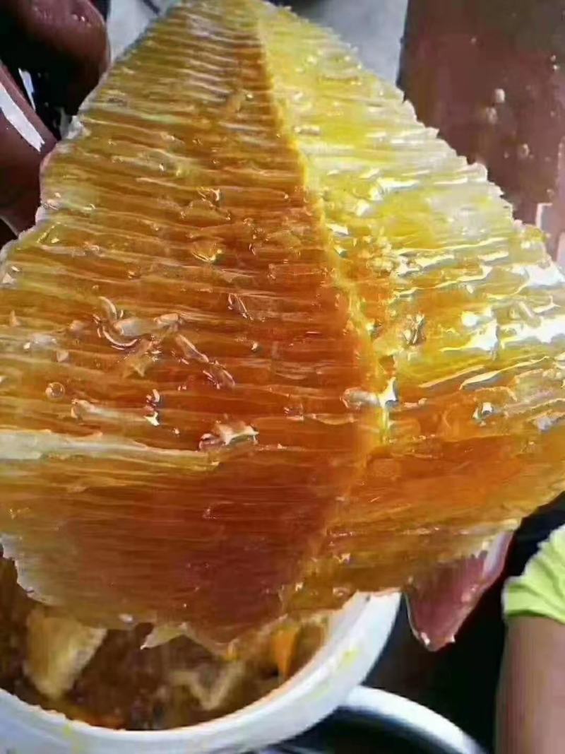 原生态纯野生老挝蜂蜜
