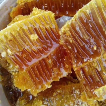 原生态纯野生老挝蜂蜜