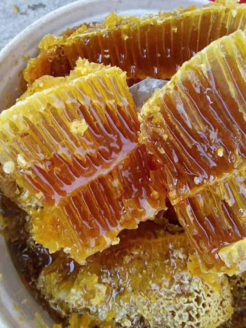 原生态纯野生老挝蜂蜜