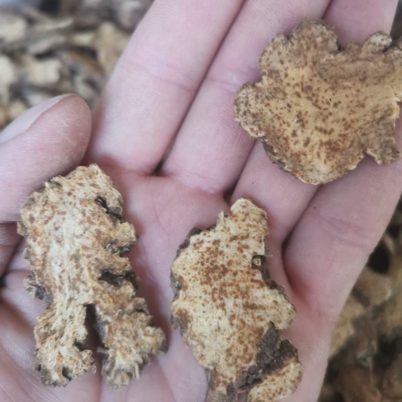 中药材苍术东北朱砂点苍术批发各种中药材量大从优