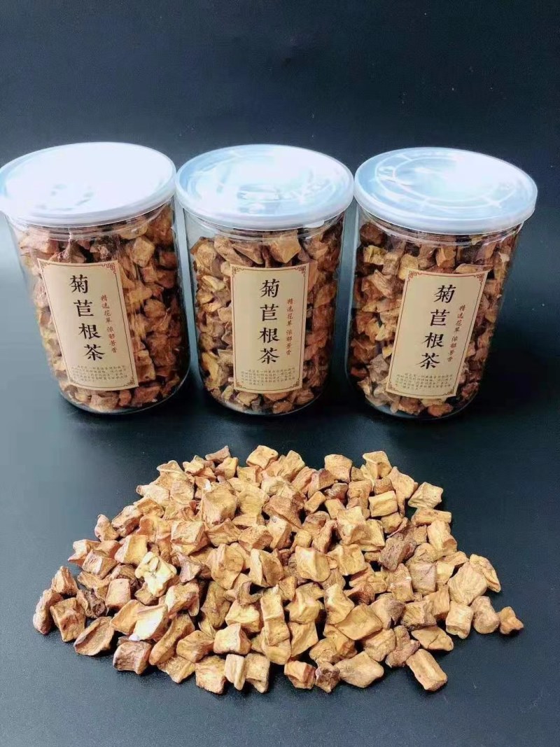 野生菊苣根