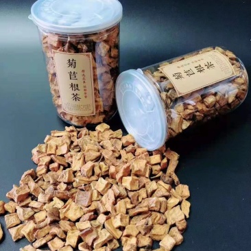 野生菊苣根