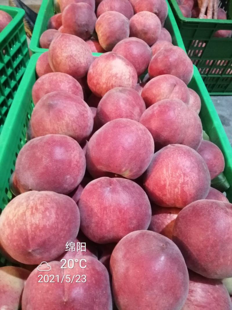 【桃】四川绵阳毛桃突围桃中桃9号精品脆桃即将大量上市