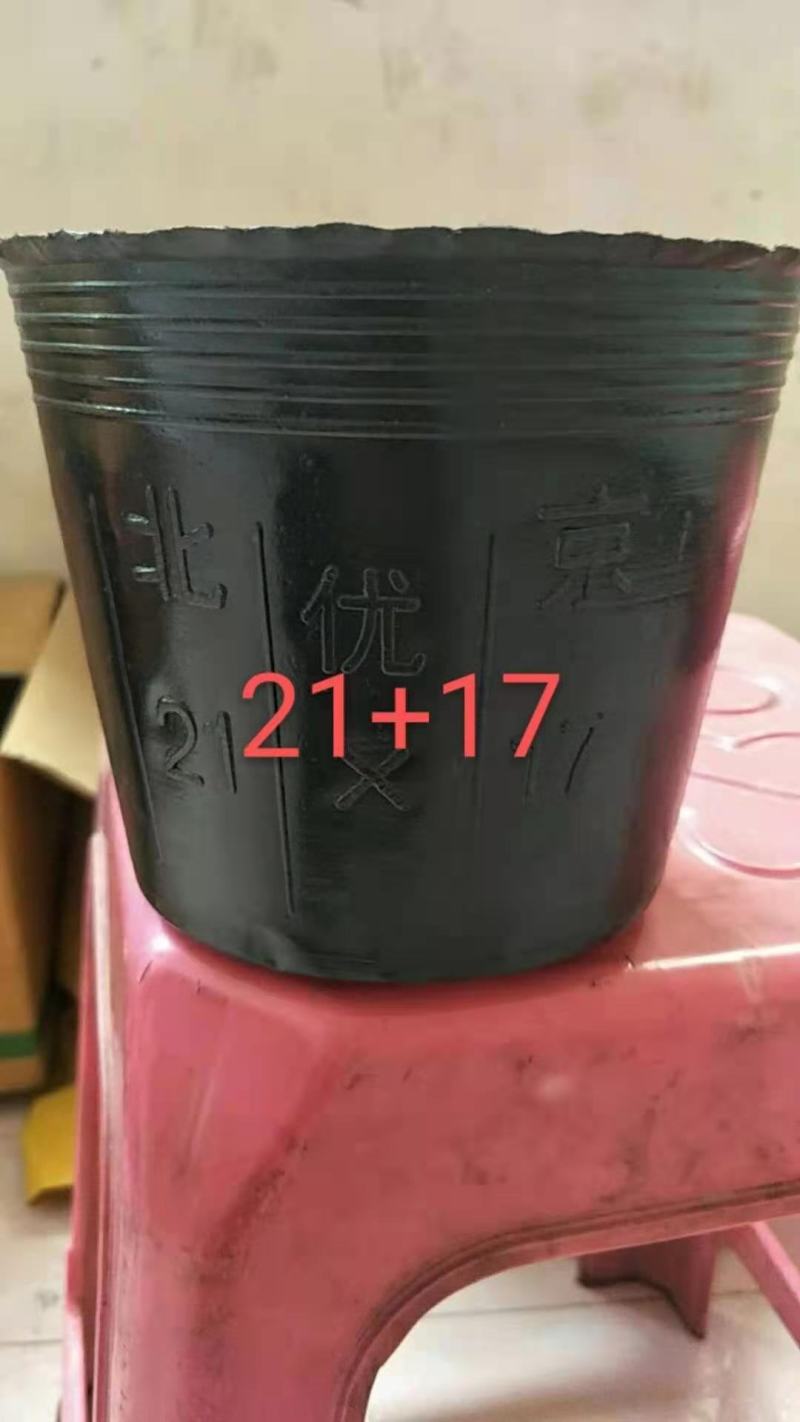 自家生产营养钵近30余年/有需要的老板联系咨（各种型号）