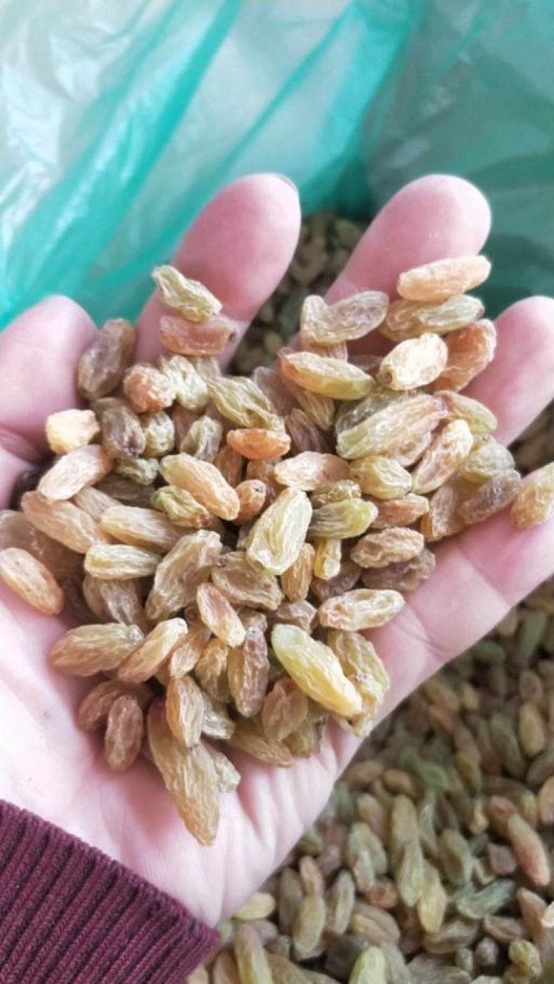 新疆绿葡萄干自然晾晒无添加孕妇零食500克支持代发