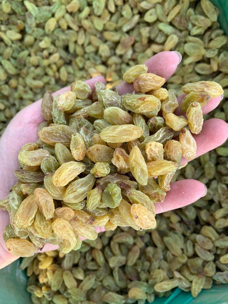 新疆绿葡萄干自然晾晒无添加孕妇零食500克支持代发