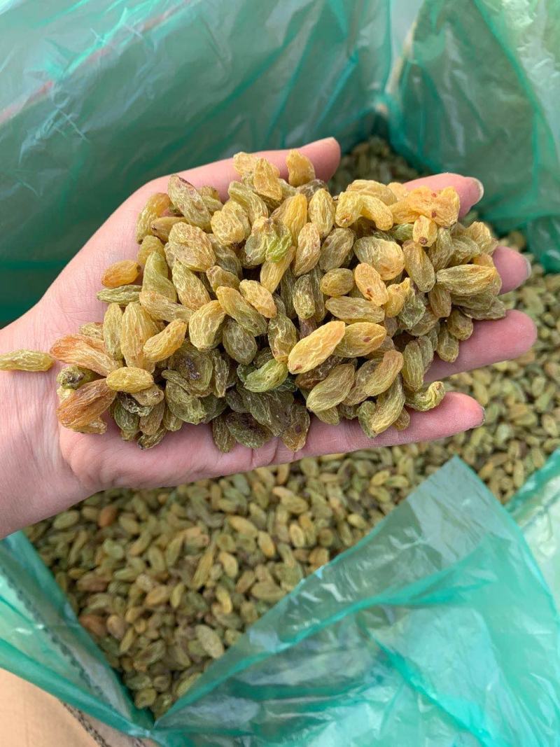 新疆绿葡萄干自然晾晒无添加孕妇零食500克支持代发