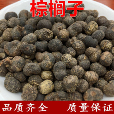 中药材棕榈籽天然棕榈子败棕子棕榈果亚达子亚答子棕树果