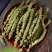 荆芥中药材店铺包邮荆介香荆芥茶中草药大全有荆芥穗品种