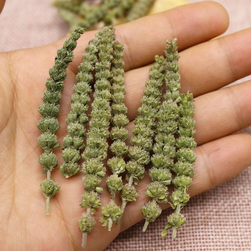荆芥中药材店铺包邮荆介香荆芥茶中草药大全有荆芥穗品种