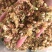 茉莉花渣花干渣枕头填充物广西横县中华茉莉园基地