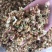 茉莉花渣花干渣枕头填充物广西横县中华茉莉园基地