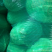 东台包菜大量上市，奥奇那，质量好，大量供应欢迎咨询