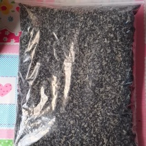 东北碎木耳
