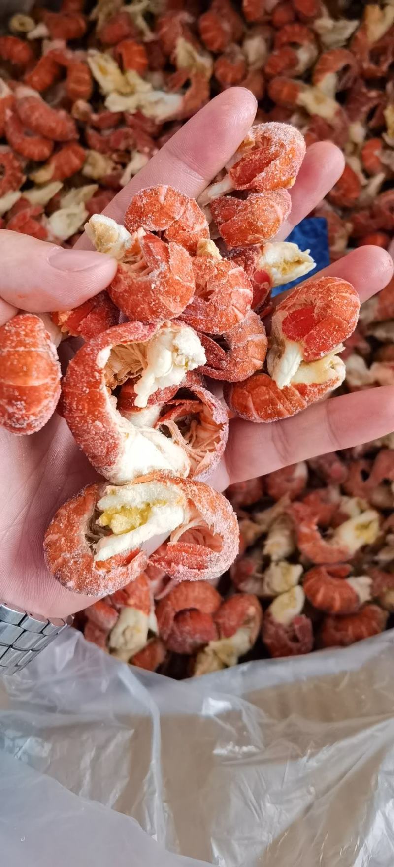 纯干冰洁净虾尾特级特大95粒/斤产地直供