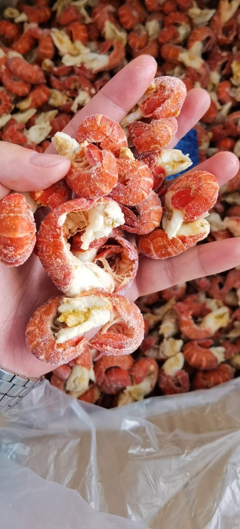 纯干冰洁净虾尾特级特大95粒/斤产地直供