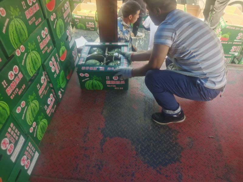 湖南大棚8424麒麟瓜，支持产地看货，视频看货。