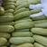 绿皮西葫芦，满足各种配称需求，各种包装运输需求，欢迎联系。