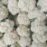 精品有机花菜(松花菜),大量上市中,花白精美,欢迎订购