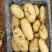 山东临沂兰陵精品荷兰十五黄心土豆无虫眼无青头,货源充足