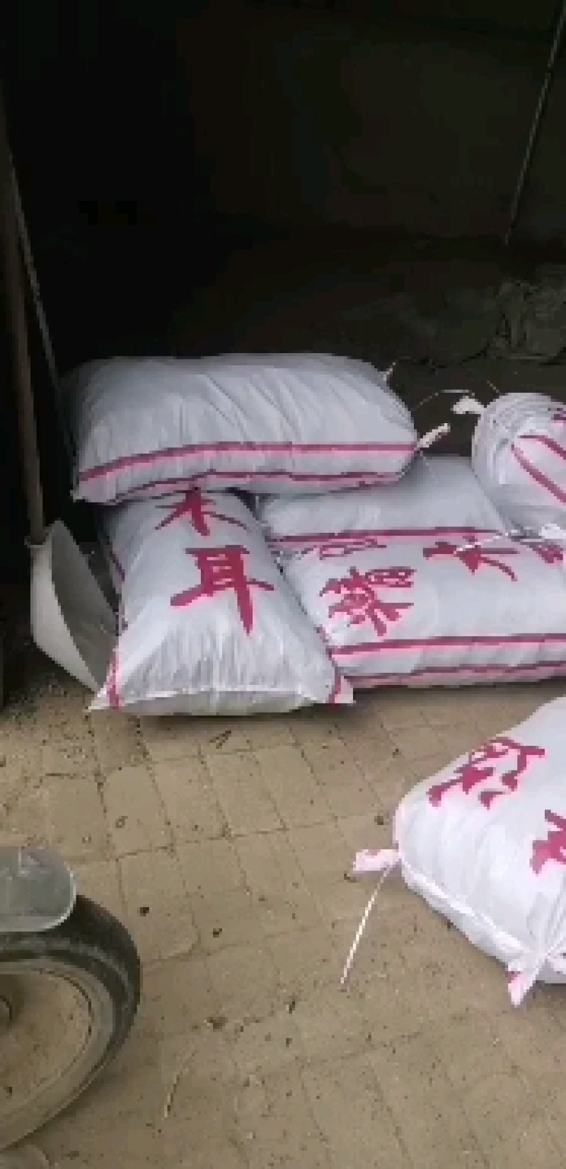 江苏丰县精品头茬木耳货发全国，提供发票产地直销一手货源