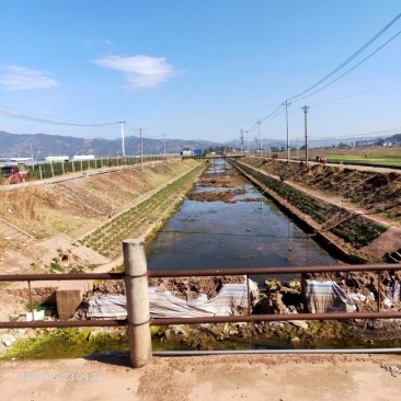 云南有土地找合作，我们种植，你包销售渠道