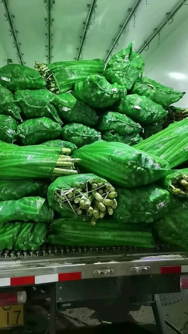 精品莴笋杆子大量供应，基地代发，可供加工厂，电商，食堂