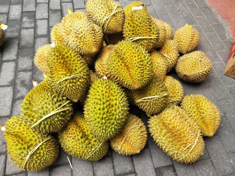 【广州市热卖】正宗泰国东部奶黄金枕榴莲A果4-8斤/包邮