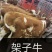 【牛】威宁精品架子牛西门塔尔牛包健康包技术代发全国