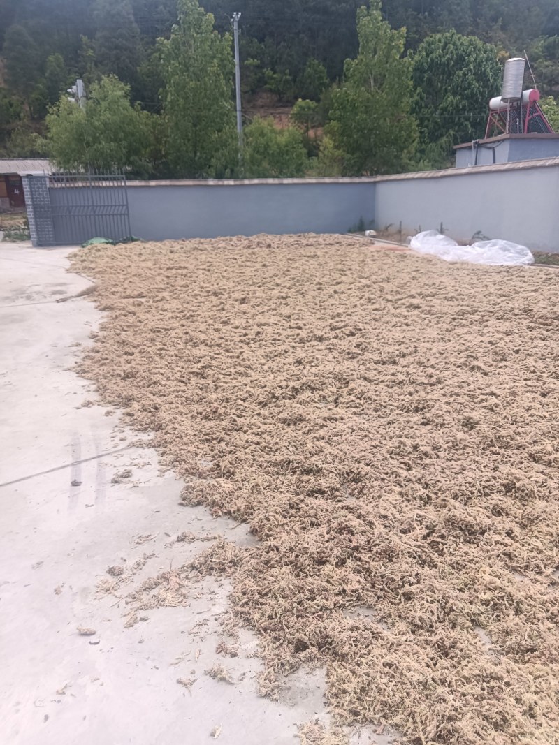 大量出售水苔干货须要购买的联系