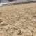 大量出售水苔干货须要购买的联系