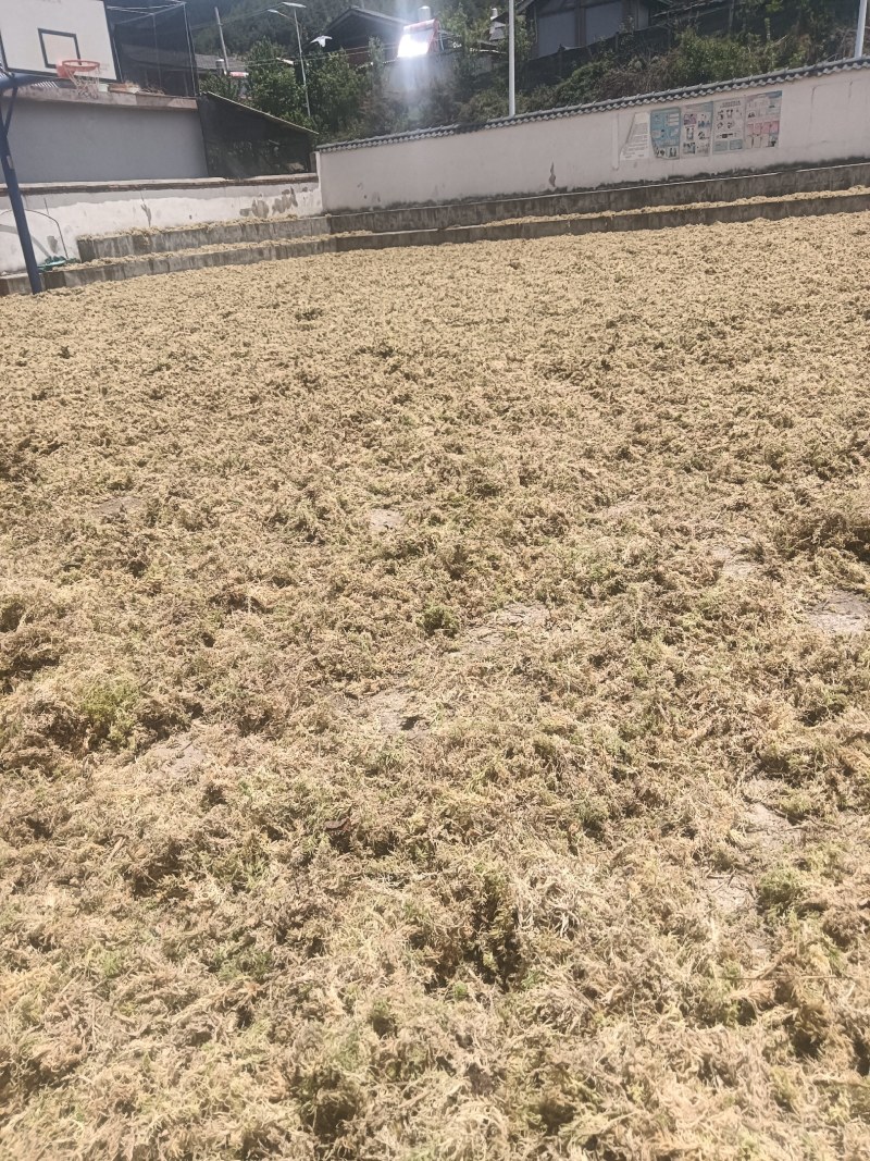 大量出售水苔干货须要购买的联系