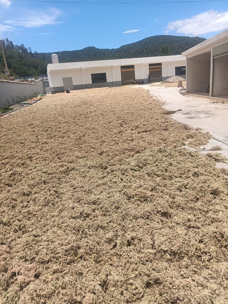 大量出售水苔干货须要购买的联系