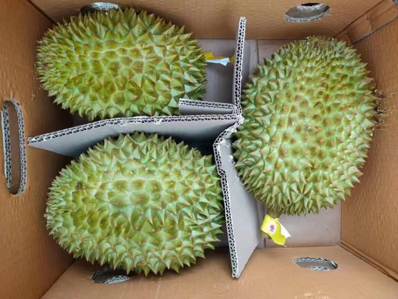 【广州市热卖】正宗泰国东部奶黄金枕榴莲A果3-4斤/包邮