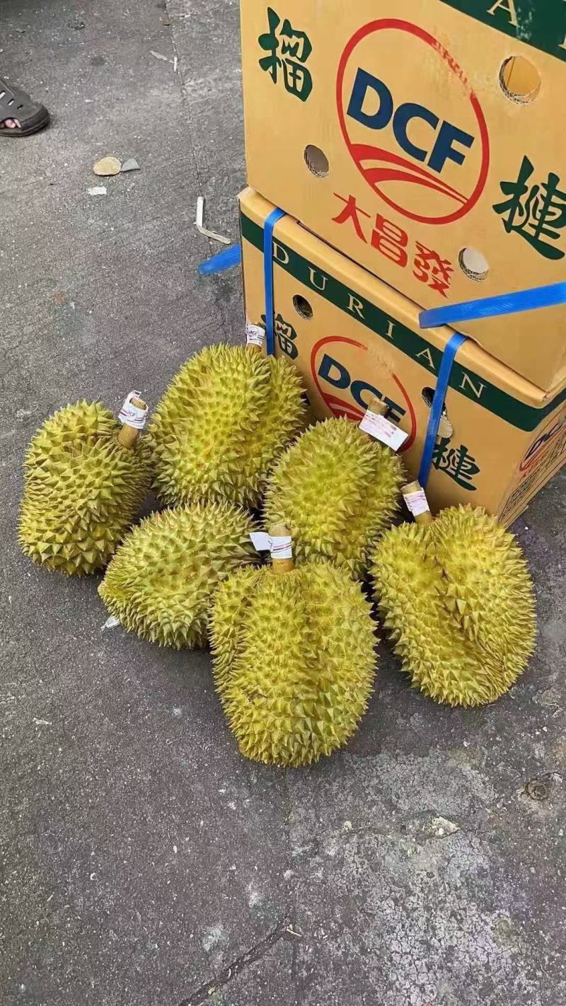 【广州市热卖】正宗泰国东部奶黄金枕榴莲A果3-4斤/包邮