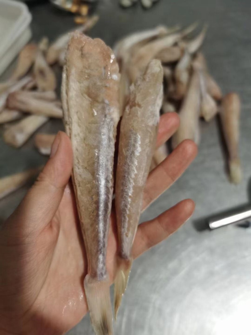 红娘鱼纯鱼肉渔民自家晾晒制作的油炸清蒸都很美味