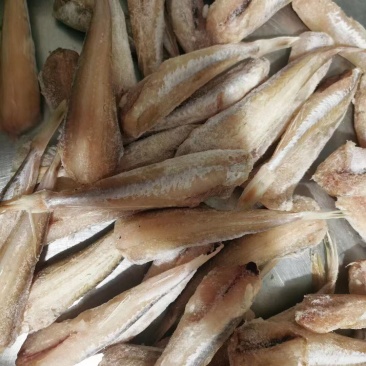 红娘鱼纯鱼肉渔民自家晾晒制作的油炸清蒸都很美味
