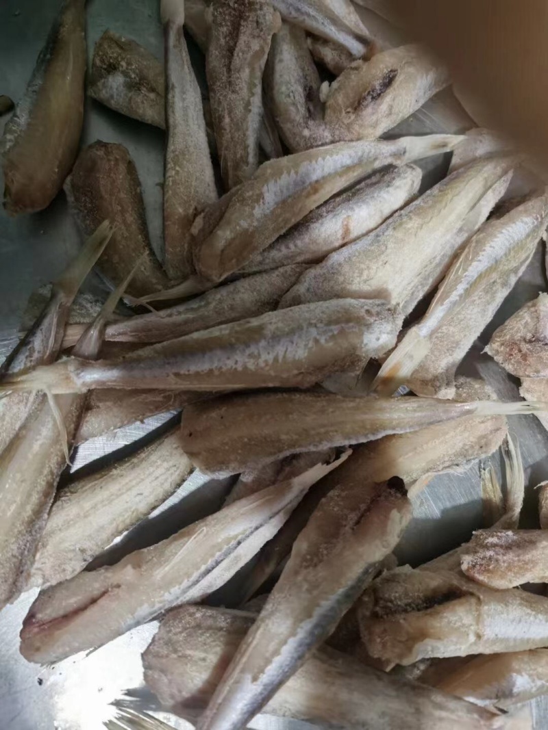 红娘鱼纯鱼肉渔民自家晾晒制作的油炸清蒸都很美味