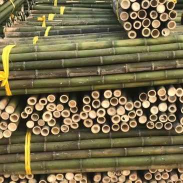 产地一手货源0.9厘米—4米元竹小竹竿毛竹苗木果蔬支撑