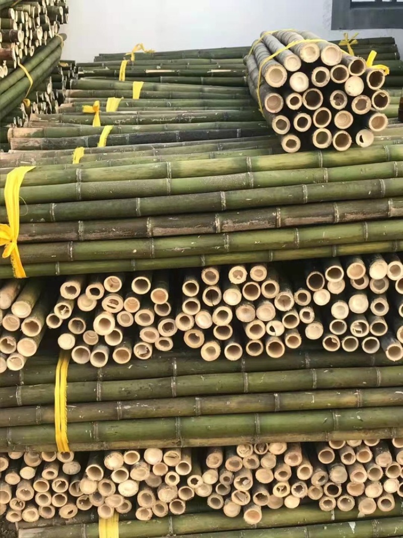 产地一手货源0.9厘米—4米元竹小竹竿毛竹苗木果蔬支撑