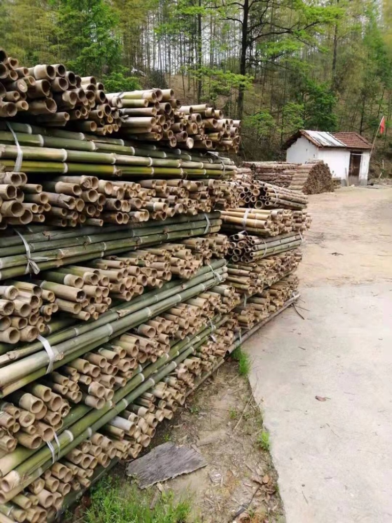 【精品】源头批发苗木支撑竿果树支撑竿毛竹竹梢农用搭架竹