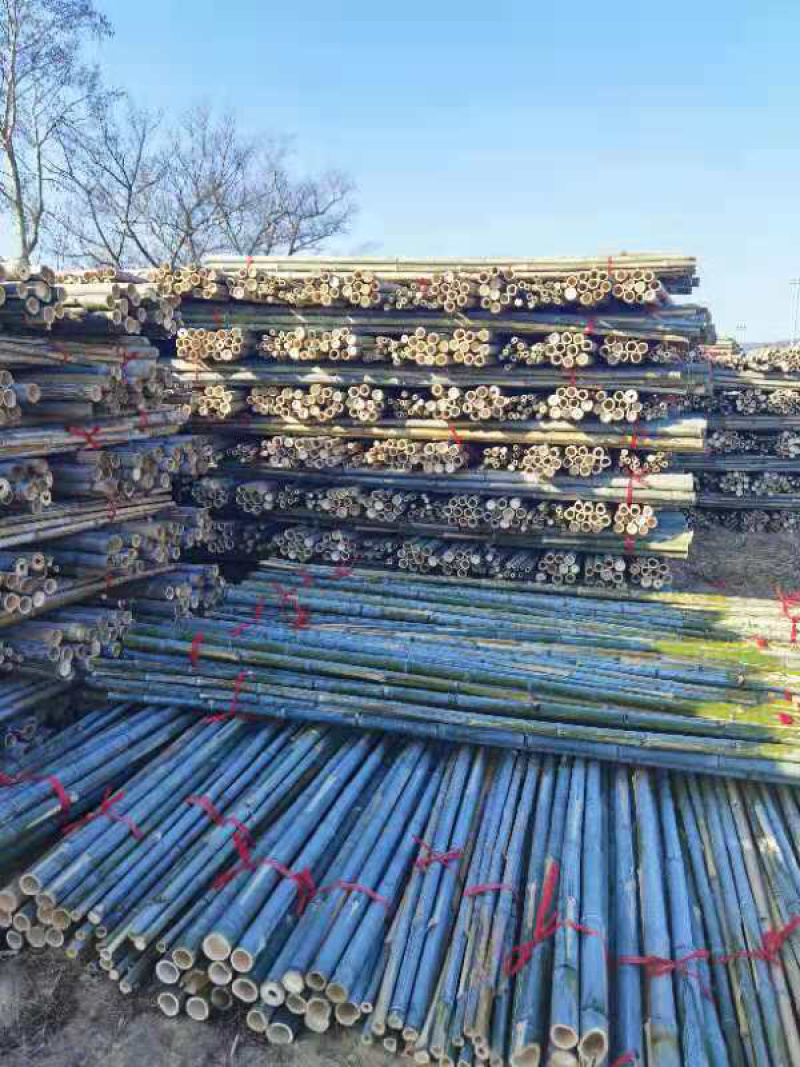 【精品】源头批发苗木支撑竿果树支撑竿毛竹竹梢农用搭架竹