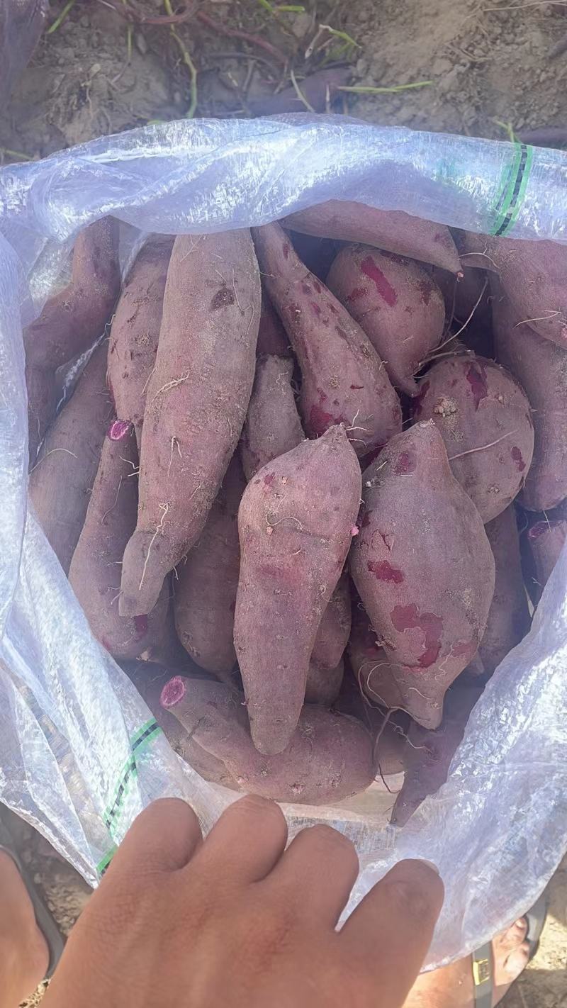 #牛商推荐#紫薯紫罗兰香甜软糯产地直销量大价优
