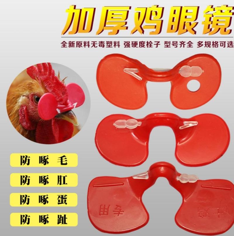 鸡眼镜鸡脚环水貂水盒