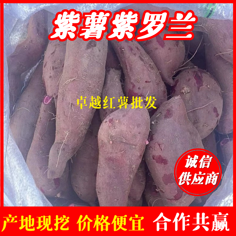 【优质紫薯】紫罗兰红薯产地直销价格美丽视频看货