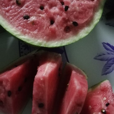 江苏东台8424，无籽美都，特小凤，站神四k大量上市