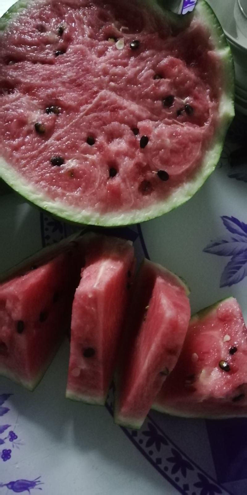 江苏东台8424，无籽美都，特小凤，站神四k大量上市