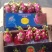 火龙果大红心小红心一手货源
